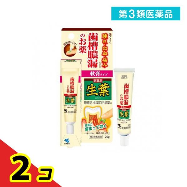 第３類医薬品 生葉口内塗薬 20g 治療軟膏 塗り薬 歯槽膿漏 歯肉炎 歯茎の腫れ 出血 痛み 口内...