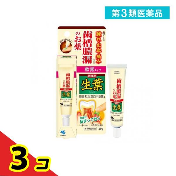 第３類医薬品 生葉口内塗薬 20g 治療軟膏 塗り薬 歯槽膿漏 歯肉炎 歯茎の腫れ 出血 痛み 口内...