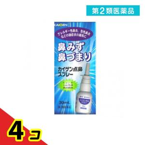 第2類医薬品 カイゲン点鼻スプレー 30mL 4...の商品画像