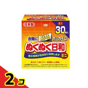 ホッカイロ ぬくぬく日和 貼るタイプ ミニ 30個入  2個セット｜通販できるみんなのお薬(みんなのお薬)