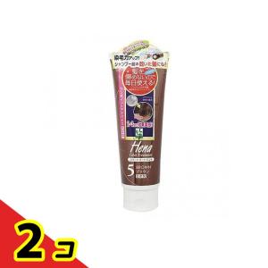 テンスター ヘナ カラートリートメント 5ブラウン 250g  2個セット