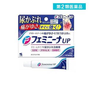 第２類医薬品フェミニーナUP 15g  (1個)｜tsuhan-okusuri
