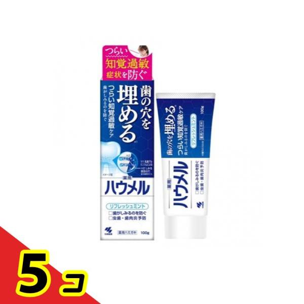 薬用ハミガキ ハウメル 100g  5個セット