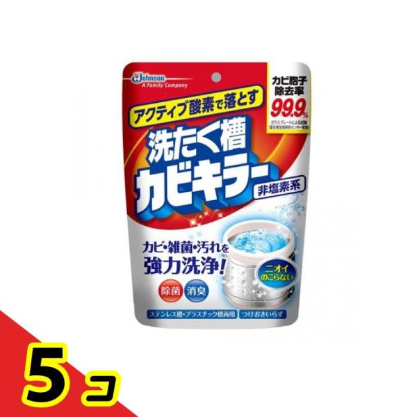 アクティブ酸素で落とす 洗たく槽カビキラー 非塩素系 粉末タイプ 250g 5個セット 