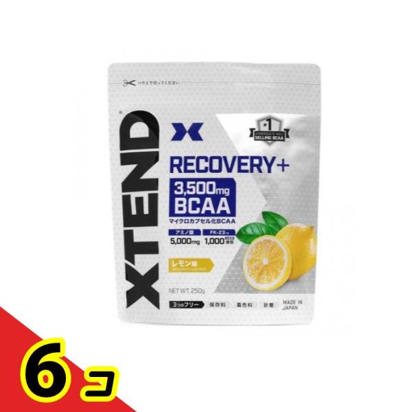 XTEND(エクステンド) リカバリープラス BCAA 250g  6個セット