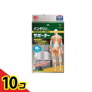バンテリンコーワサポーター腰用 男女兼用 大きめLサイズ 1枚入 (シャイニンググレー) 10個セット
