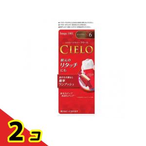 パオン エッセンスリッチ クリームタイプ 6 ( 1セット )/ 白髪染め