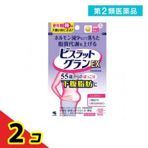 第２類医薬品ビスラットグランEX 防風通聖散錠 84錠 (7日分)  2個セット