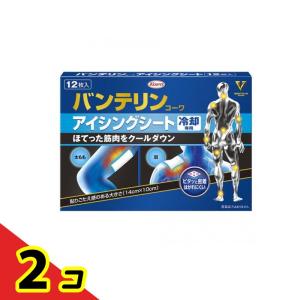バンテリンコーワ アイシングシート 冷却専用 12枚入 2個セット