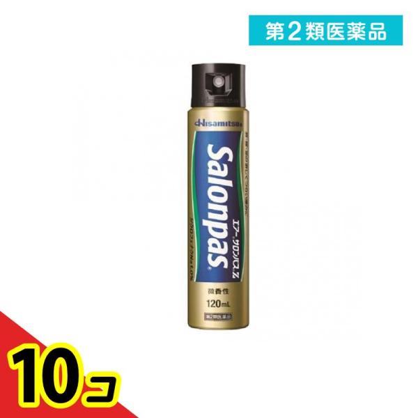 第２類医薬品エアーサロンパスZ 120mL  10個セット