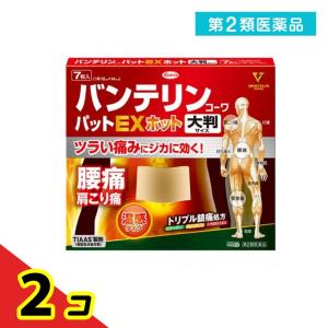 第２類医薬品バンテリンコーワパットEXホット 大判サイズ(10×14cm) 7枚  2個セット｜tsuhan-okusuri