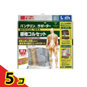 バンテリンコーワサポーター 腰椎コルセット 大きめLサイズ 1枚入 (ブルーグレー) 5個セット