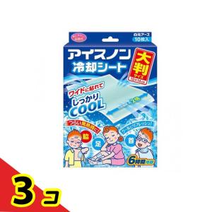 アイスノン 冷却シート 大判サイズ 10枚入 3個セット