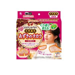 小林製薬 あずきのチカラ 首肩用 1個入  (1個)｜通販できるみんなのお薬