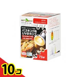 REPTIZOO 爬虫類用ランプ スーパーサンUV 75W E731 1個入 10個セット