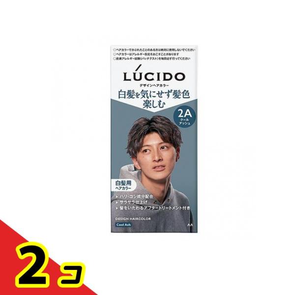 LUCIDO(ルシード) デザインヘアカラー クールアッシュ 1個 2個セット 