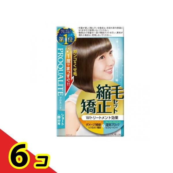 プロカリテ 縮毛矯正セット ショート・部分用 1組入  6個セット