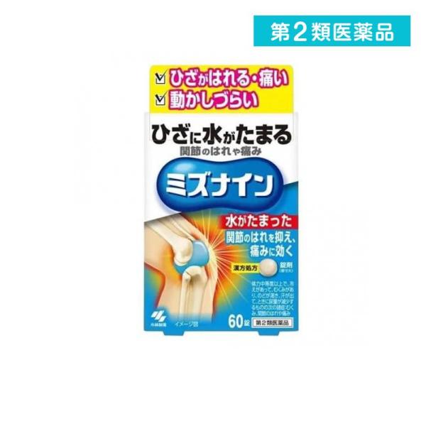 第２類医薬品 小林製薬 ミズナイン 越婢加朮附湯 60錠  (1個)