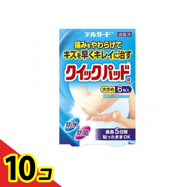 デルガード クイックパッドα 大きめ 29×59mm 6枚入  10個セット