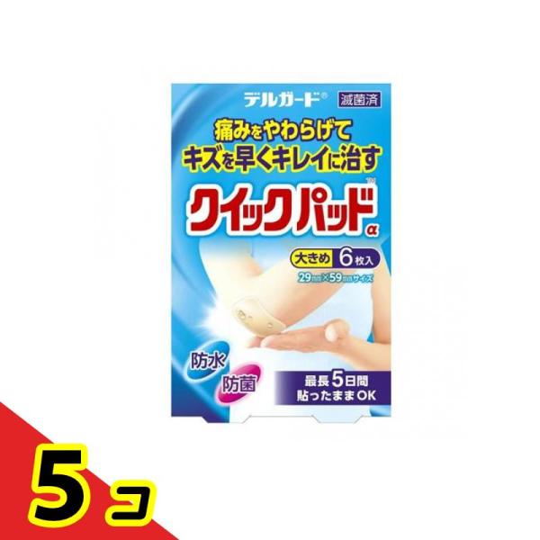 デルガード クイックパッドα 大きめ 29×59mm 6枚入  5個セット
