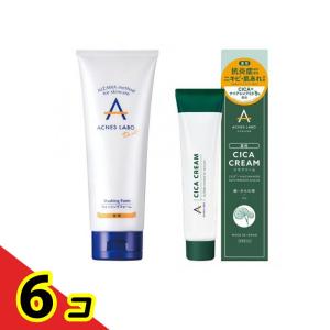 アクネスラボ 薬用ニキビケア ウォッシングフォーム 思春期用 150g &薬用CICAクリーム 60g 6個セット