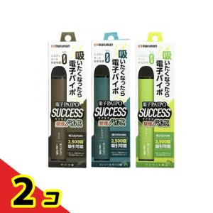 電子PAIPO SUCCESS タバコ味 &メンソールタバコ味 &マスカット味 各1本入 2個セット