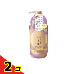 いち髪 ダメージリペア&カラーケア シャンプー 本体ボトル 450mL 2個セット