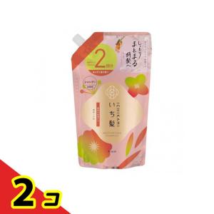 いち髪 濃密W保湿ケアシャンプー 詰め替え用 2個分 640mL 2個セット