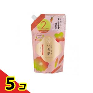 いち髪 濃密W保湿ケアシャンプー 詰め替え用 2個分 640mL 5個セット