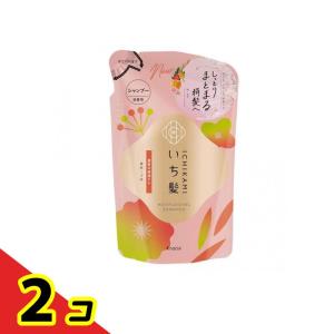 いち髪 濃密W保湿ケアシャンプー 詰め替え用 320mL 2個セット