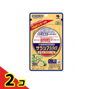 小林製薬 サラシア100プレミアム サプリメント 20日分 120粒入  2個セット
