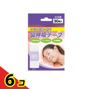 日進医療器 鼻呼吸テープ 30枚 6個セット