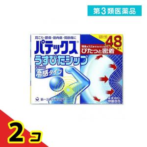 パテックス うすぴたシップ 48枚 2個セット  第３類医薬品