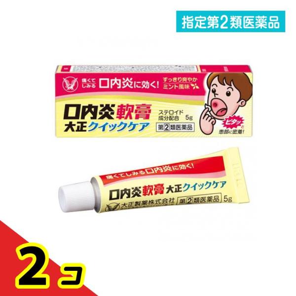 指定第２類医薬品 口内炎軟膏大正クイックケア 5g  2個セット