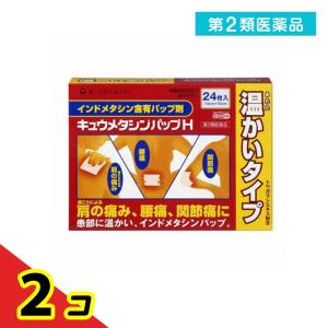 キュウメタシンパップＨの商品画像