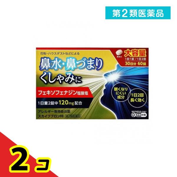 第２類医薬品 スカイブ ブロンHI 60錠 花粉症 アレルギー性鼻炎 鼻水 鼻づまり  2個セット