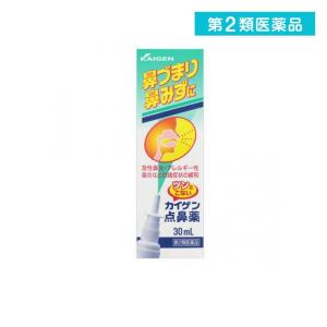 第２類医薬品カイゲン点鼻薬 30mL 鼻炎スプレー 鼻づまり 鼻水 風邪 アレルギー性鼻炎 花粉症 市販  (1個)｜tsuhan-okusuri