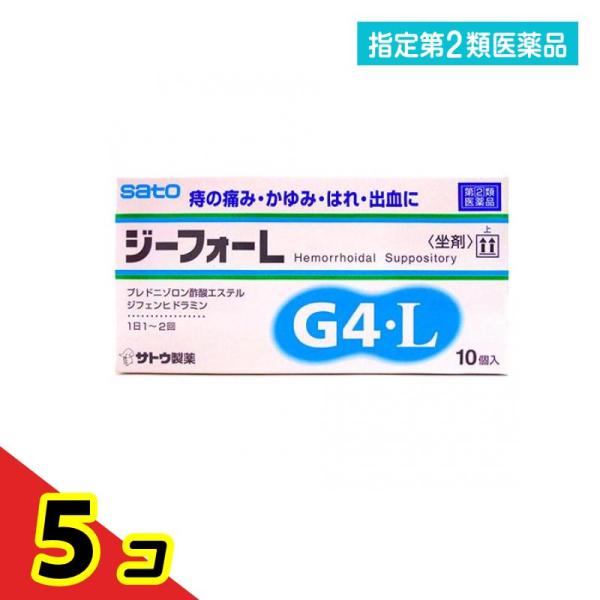 指定第２類医薬品ジーフォーL 10個  5個セット