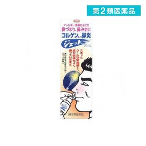 第２類医薬品コルゲンコーワ鼻炎ジェット  30mL  (1個)｜tsuhan-okusuri