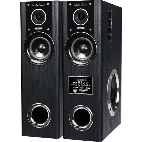 レトロサウンド ダイナミックサウンドスピーカー DS-12 最大出力80W TV DVD CD対応 ...