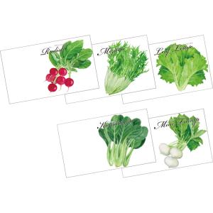 野菜の種 単品 横型 種子 紙袋入り エコ ノベルティ プラスチックフリー 家庭菜園 ベジタブル 栽培キット 販促品 記念品 日本製