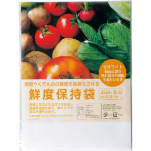 鮮度保持袋 ギフト用 10枚入 野菜 果物 保存袋 ポケット付き 外袋付き 250×350mm ポリエチレン 保存用袋 食品保存袋 長持ち 日本製 GR-0001