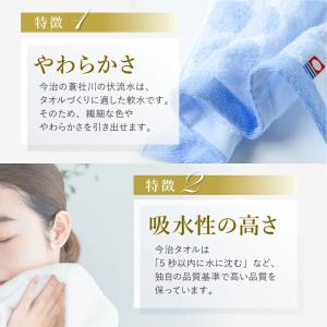 今治タオル 6種から選べる ご挨拶ギフト タオ...の詳細画像3