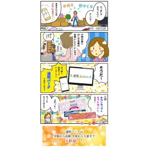 【在庫あり】 引越し挨拶品 引っ越し 挨拶 粗...の詳細画像3