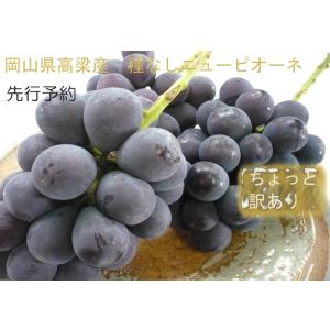 【9月中旬頃よりご注文順に順次発送予定】岡山県産...の商品画像