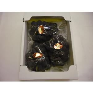 新潟 蔵 1800ml 6本入り【5,000円以上送料無料】【ケース品