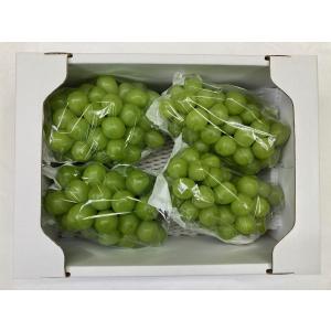 長野　シャインマスカット　約4.5kg 3L シャインマスカット 大粒4Lサイズ2房（1.3kg）（三越伊勢丹選定