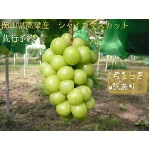 葡萄の壺 ぶどう🍇 - Search / X