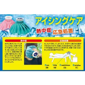 【送料無料】ザムスト アイスバック 氷嚢 氷の...の詳細画像1