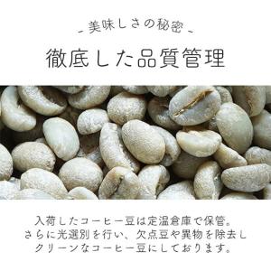 コーヒー豆 コーヒー 粉 中煎り キリマンジャ...の詳細画像5